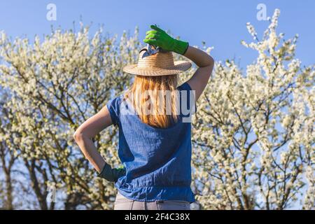 Une femme agriculteur portant un gant de jardinage et un chapeau de paille tient sécateur et debout dans un verger en fleur Banque D'Images