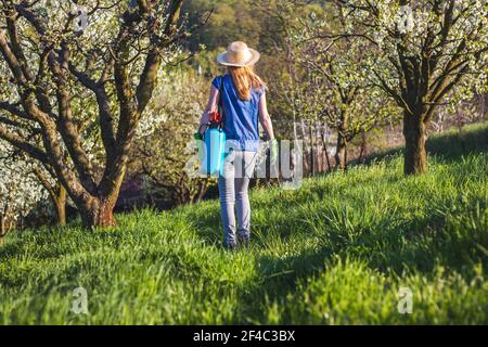 Travailleur agricole debout dans un verger en fleurs et dans un pulvérisateur de récolte. Jardinage au printemps. Banque D'Images