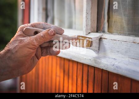 Peinture à la main de vieux cadre de fenêtre en bois à l’aide d’un pinceau. Réparation de l'extérieur de la cabane en bois Banque D'Images