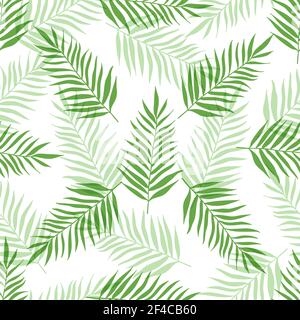 Motif tropical décoratif sans couture avec feuilles de palmier vertes sur fond blanc. Motif sans couture avec feuilles de palmier vertes Illustration de Vecteur
