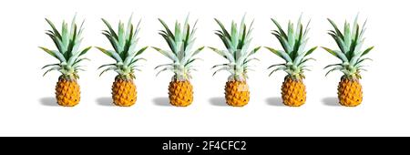 Ananas frais mûrs isolés sur fond blanc. Fruits exotiques tropicaux.bannière Banque D'Images