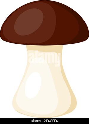 Illustration vectorielle d'un champignon forestier abstrait avec un chapeau brun et une tige blanche sur fond blanc. Style de dessin animé de champignons comestibles. Cadeaux de l'automne et des forêts. Cueillette saisonnière de champignons Illustration de Vecteur