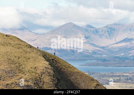 Dumgoyne, CAMPSIE Fells, Écosse, Royaume-Uni. 20 mars 2021. Météo au Royaume-Uni - les marcheurs descendent la colline de Dumgoyne un autre jour de printemps chaud mais venteux dans les Fells de CAMPSIE. Les eaux bleues du Loch Lomond et les sommets des Trossachs créant une toile de fond spectaculaire crédit: Kay Roxby/Alay Live News Banque D'Images