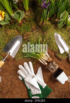 Pose plate de fleurs de printemps et d'outils de jardinage Banque D'Images