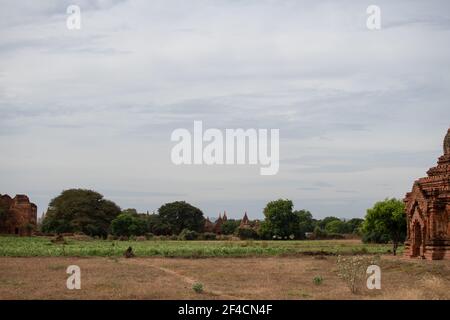 BAGAN, NYAUNG-U, MYANMAR - 3 JANVIER 2020 : plusieurs pagodes anciennes et historiques de temple à la distance d'un champ d'herbe sèche ouvert Banque D'Images