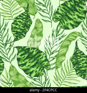 Été tropical vert transparent avec motif feuilles de palmier. Hand drawn vector background Illustration de Vecteur