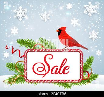 Carte de vœux de Noël et d'année de Noël avec oiseau cardinal rouge, branches de sapin vert et cadre de friandises. Historique des soldes d'hiver saisonniers. Illustration vectorielle Illustration de Vecteur