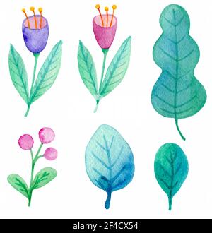 Ensemble de fleurs et de feuilles aquarelles sur fond blanc. Éléments de conception botanique dessinés à la main. Illustration vectorielle Illustration de Vecteur