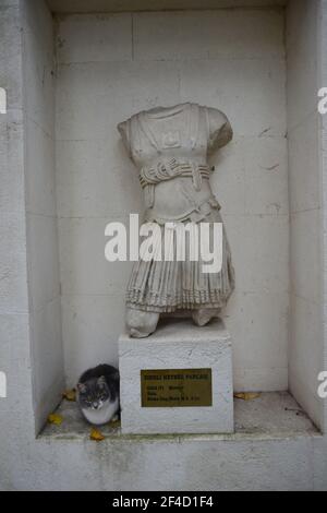 Les chats de rue sont omniprésents à Istanbul, Turquie. Ici, un chat s'est bâti avec l'ancienne statue, près du İstanbul Arkeoloji Müzeleri Banque D'Images