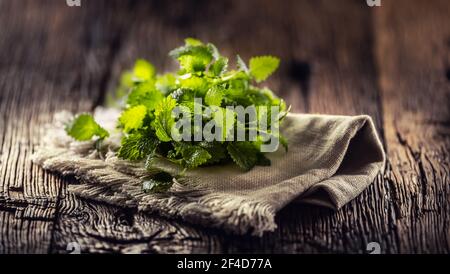 Herbes de melissa vert naturel sur jute rustique ou serviette de lin pliée sur bois sombre. Banque D'Images