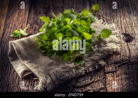 Herbes de melissa vert naturel sur jute rustique ou serviette de lin pliée sur bois sombre. Banque D'Images