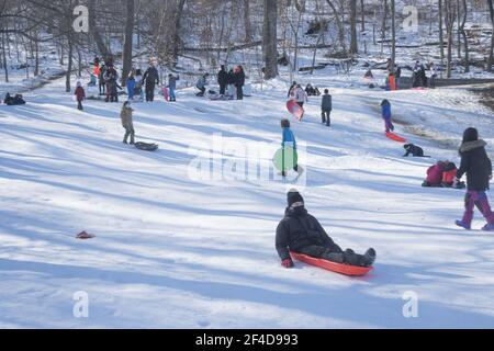 Les enfants et les familles profitent d'une journée de luge dans Prospect Park après une tempête de neige récente à Brooklyn, New York. Banque D'Images