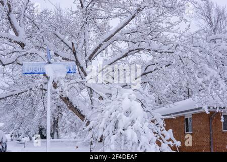 Panneau de rue à Boulder, Colorado couvert de neige après une forte tempête Banque D'Images