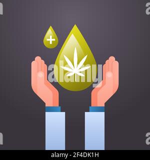 mains tenant la goutte d'huile de chanvre cbd extraite de la plante de marijuana concept de consommation de cannabis en feuilles plat Illustration de Vecteur
