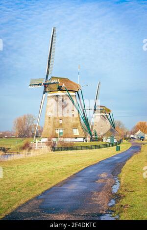 Chemin menant aux moulins à vent traditionnels hollandais par une journée ensoleillée au début du printemps Banque D'Images