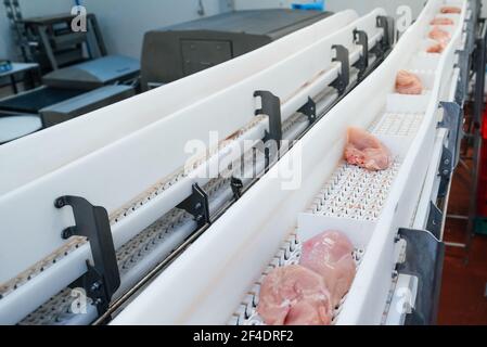 Ligne de production de produits semi-finis à base de viande. Usine pour la production d'aliments à partir de viande.Equipement industriel dans une usine de viande. Traitement de la viande Banque D'Images