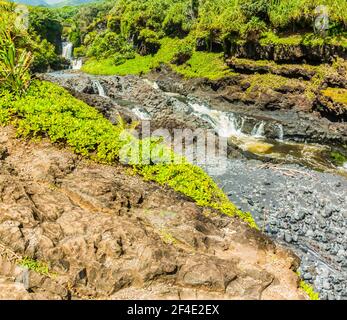 Les piscines d'Oheo Gulch, district de Kipahulu, parc national de Haleakala, Maui, Hawaii, ÉTATS-UNIS Banque D'Images