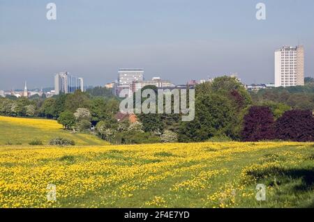 Vue du printemps sur Basingstoke, Hampshire depuis un pré rempli de tasses de beurre. Banque D'Images