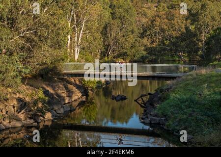 Un cycliste traverse une passerelle au point de rencontre de la Yarra River et de Merri creek dans le parc Studley, Melbourne, Victoria, Australie Banque D'Images