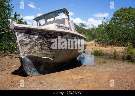 Vieux bateau de plaisance abandonné avec peinture écaillée et coque rouillée laissée pourrir parmi les mangroves dans le nord tropical du Queensland, en Australie. Banque D'Images