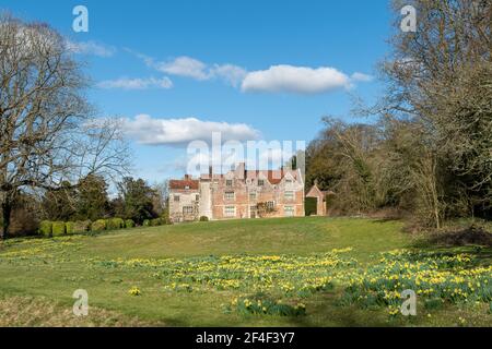 Chawton House, un manoir élisabéthain classé II* dans le Hampshire, Angleterre, Royaume-Uni, au printemps ou en mars avec des jonquilles en fleur Banque D'Images