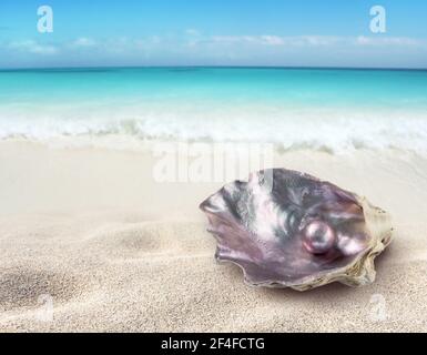 Perle brillante dans la coquille d'huître irisée pourpre sur le plage tropicale paradisiaque Banque D'Images