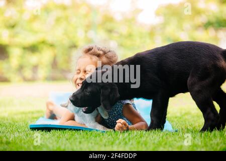 Adorable petite fille joue avec des animaux de compagnie sur l'herbe fraîche Banque D'Images