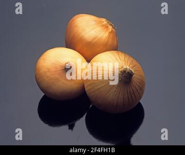 Oignon français (allium cesp) nommé vert, légume sur fond noir Banque D'Images