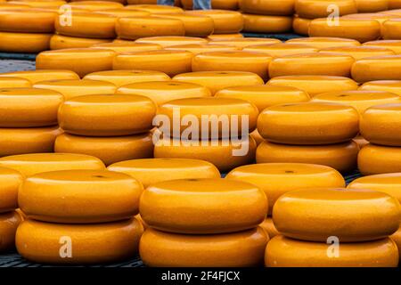 Alkmaar, pays-Bas; 18 mai 2018: Marché du fromage en exposition Banque D'Images