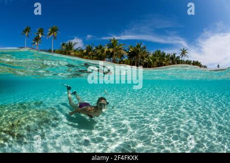 Plongée en apnée en face de Palm Island, Fadol, Kai Islands, Moluques, Indonésie Banque D'Images
