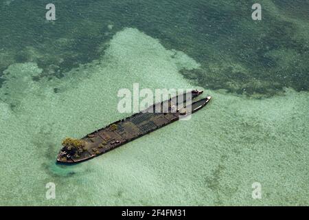 Ereck au large de Stradbroke Island, Moreton Bay, Brisbane, Australie Banque D'Images