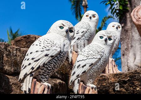 Pattaya, Thaïlande -​ 2 mai, 2019​: Statue an hibou zoo Valley​ dans le jardin de Nong Nooch​, touristes ​ voyageant à beautiful​ Garden​ dans le monde de the​, Pattaya Banque D'Images