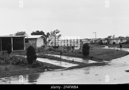 Logement des travailleurs du tabac dans la coopérative PR2, Pinar del Rio, Cuba, Pinar del Rio (Cuba : province), 1964. De la collection de photographies Deena Stryker. () Banque D'Images