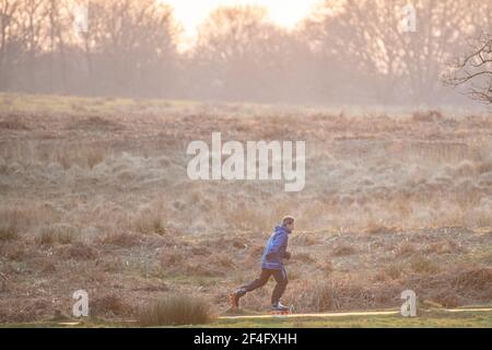 Un roller à Richmond Park au crépuscule Banque D'Images