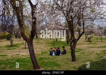 Srinagar, Inde. 21 mars 2021. Les enfants se reposent à l'intérieur du Baadam Waer (jardin d'Almond) pendant une journée de printemps à Srinagar. Le printemps est arrivé dans la vallée du Cachemire, ce qui marque un dégel de la saison maigre pour le tourisme dans la région de l'Himalaya. (Photo de Saqib Majeed/SOPA Images/Sipa USA) crédit: SIPA USA/Alay Live News Banque D'Images