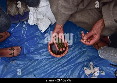 Srinagar, Inde. 21 mars 2021. Un praticien tient des sangsues dans la main pendant une séance de thérapie de sangsues à Srinagar.chaque année, les travailleurs de la santé traditionnels au Cachemire utilisent des sangsues pour traiter les personnes souffrant de maladies de la peau, d'arthrite, de maux de tête chroniques et de sinusite à Nowruz, Qui marque le premier jour du printemps et le début de l'année dans le calendrier perse. Crédit : SOPA Images Limited/Alamy Live News Banque D'Images