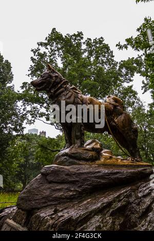 Image verticale de la statue de Balto dans Central Park Banque D'Images