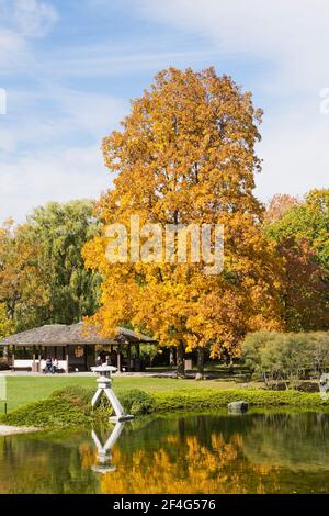 Étang avec lanterne Yukimi-gata également connue comme lanterne à neige au jardin japonais à l'automne, jardin botanique de Montréal, Québec, Canada Banque D'Images