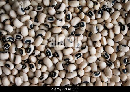 Gros plan vue de pois secs à yeux noirs : petits pois secs de cowpeas séchés à proximité du dessus Banque D'Images