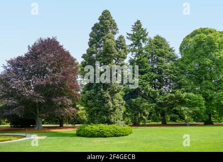 Paysage autour des jardins botaniques de Christchurch en Nouvelle-Zélande Banque D'Images