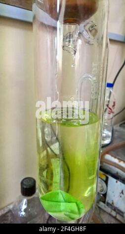 basra, irak - 11 mars 2017 : distillation de fluide chimique en laboratoire Banque D'Images