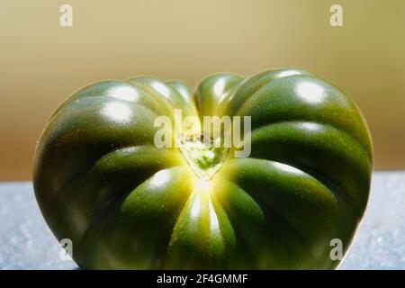 Détail d'une délicieuse tomate verte de marmande illuminée par lumière du soleil Banque D'Images