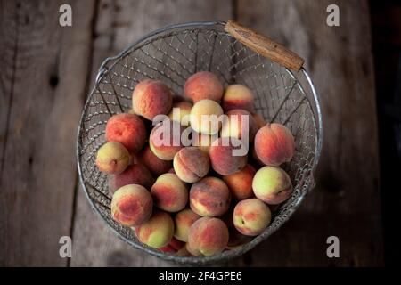 Fruits frais de pêches dans un panier sur fond rustique en bois sombre, vue de dessus. Récolte estivale de fruits. Encore la vie. Un groupe de pêche mûre. Plat, végétalien Banque D'Images