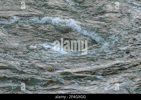 Un petit mais turbulent tourbillon formé où une rivière rencontre un port. Beaucoup de spray et de mousse dans l'eau teintée vert foncé. Banque D'Images