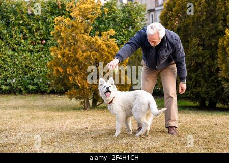 Homme senior jouant avec le chiot Berger blanc suisse dans le jardin. Banque D'Images