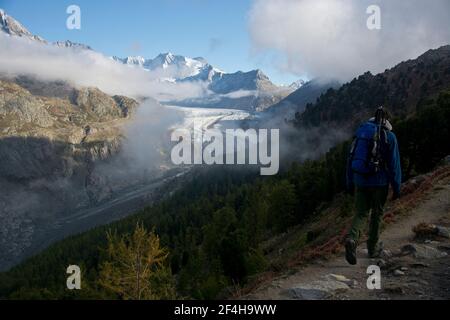 Eindrücke aus dem UNESCO-Welterbe Aletsch, grosdes Schutzgebiet UM den grössen Gletscher der Alpen Banque D'Images
