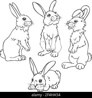 Ensemble vectoriel de quatre lapins dans différentes postures. Motif lièvre pour livre de coloriage. Illustration de Vecteur