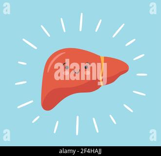 Santé heureux souriant mignon foie caractère. Illustration vectorielle Illustration de Vecteur
