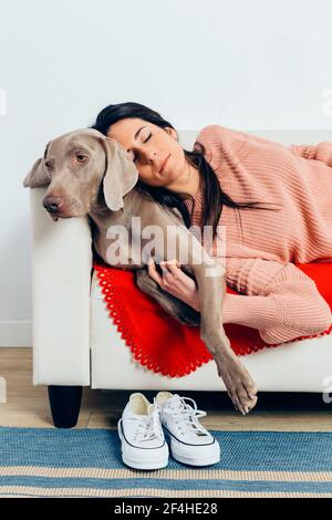 Jeune femme propriétaire mettant la tête sur un chien Weimaraner loyal et de race pure et dormez sur un canapé tout en vous reposant ensemble à la maison Banque D'Images