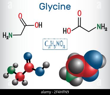 La glycine (Gly ou G) est l'acide aminé. Formule chimique structurelle et modèle moléculaire. Illustration vectorielle Illustration de Vecteur